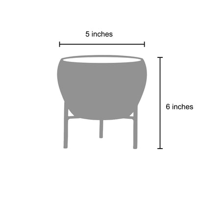 Printed Flower pot